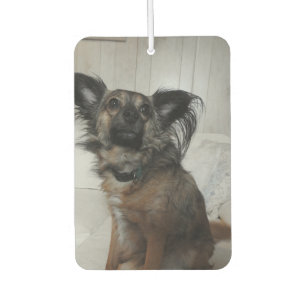 Funny Puppy Doet Foto Personalisiert Autolufterfrischer