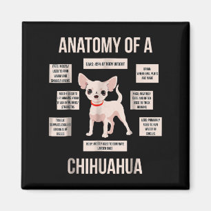 Funny Puppy Geschenkanatomie einer Chihuahua Magnet