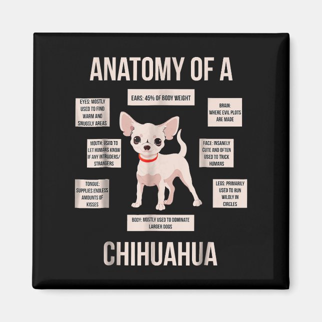 Funny Puppy Geschenkanatomie einer Chihuahua Magnet (Vorne)
