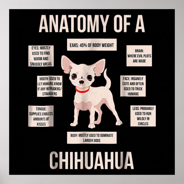 Funny Puppy Geschenkanatomie einer Chihuahua Poster (Vorne)