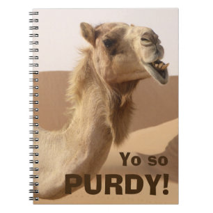 Funny Purdy Camel Foto Notizblock