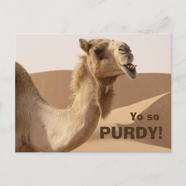 Funny Purdy Camel Foto Postkarte (Vorderseite)