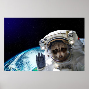 Funny Raccoon Astronaut Poster