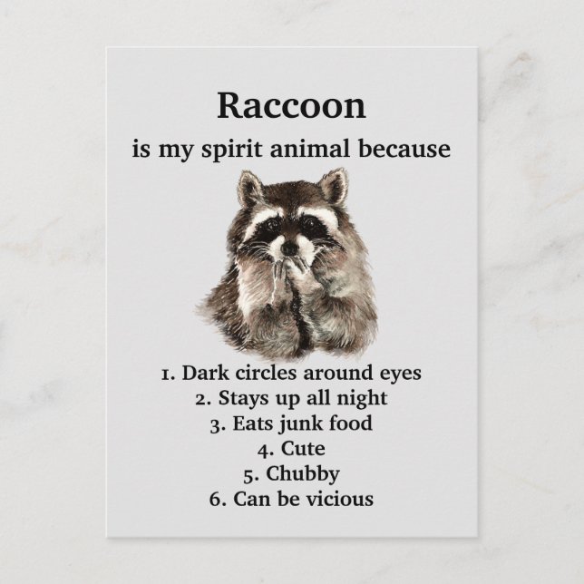 Funny Raccoon Spirit Animal Spaß Niedlich Wasserfa Postkarte (Vorderseite)