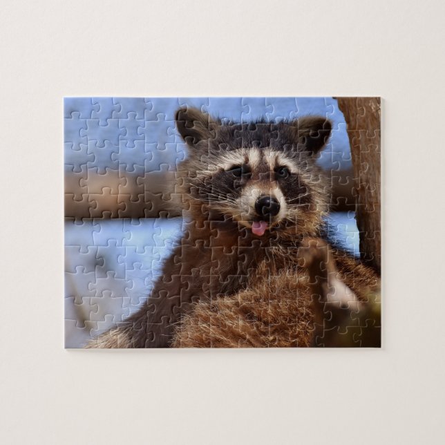 Funny Raccoon Sticken Es ist Zunge Out Foto Puzzle (Horizontal)