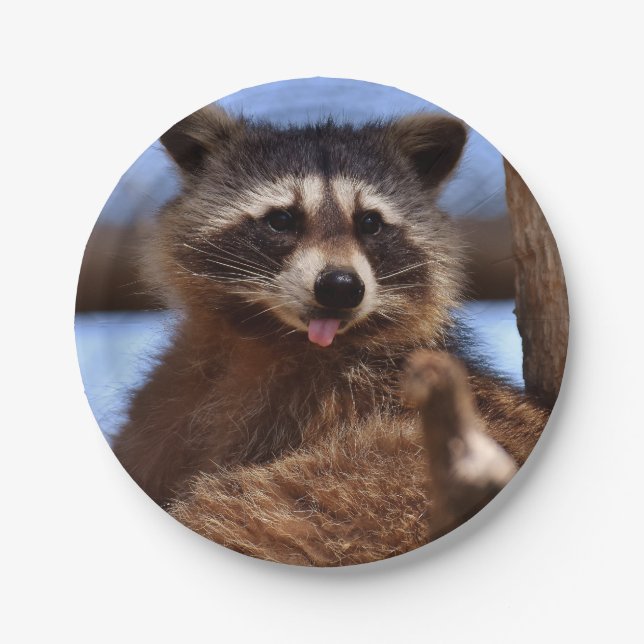 Funny Raccoon Sticken Es ist Zunge-Out Pappteller (Vorderseite)