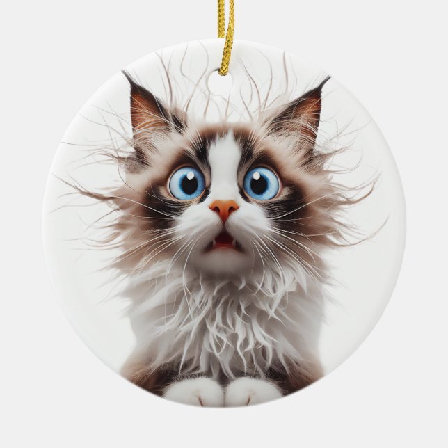 FUNNY RAGDOLL CAT ÜBERRASCHTE KATZE KERAMIK ORNAMENT (Vorne)
