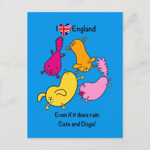 Funny Raining Katzen und Hunde Cartoon, Liebe Lond Postkarte