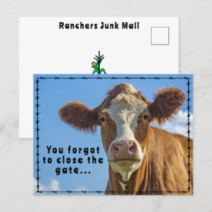 Funny Ranchers Junk Mail Country Western Tales Postkarte