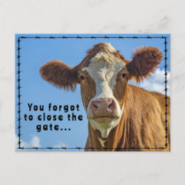 Funny Ranchers Junk Mail Country Western Tales Postkarte