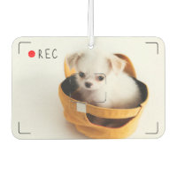 Funny Record Red Dot Custom Pet Foto