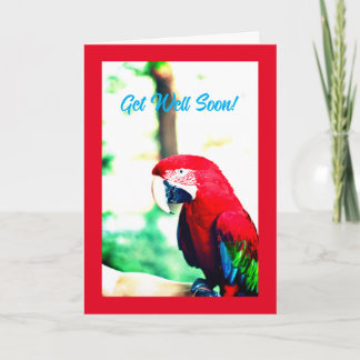 Funny Red Parrot erhält Well Card Karte