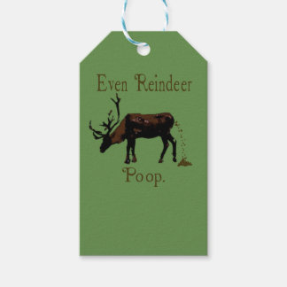 Funny Reindeer Kackte Weihnachten Geschenkanhänger