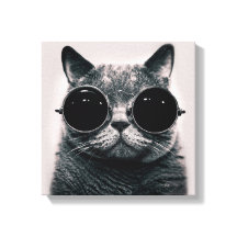 Funny Retro Black Cat mit dunkler Sonnenbrille