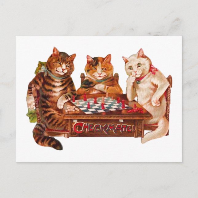 Funny Retro Cats Checkmate Schach spielen 1903 Postkarte (Vorderseite)