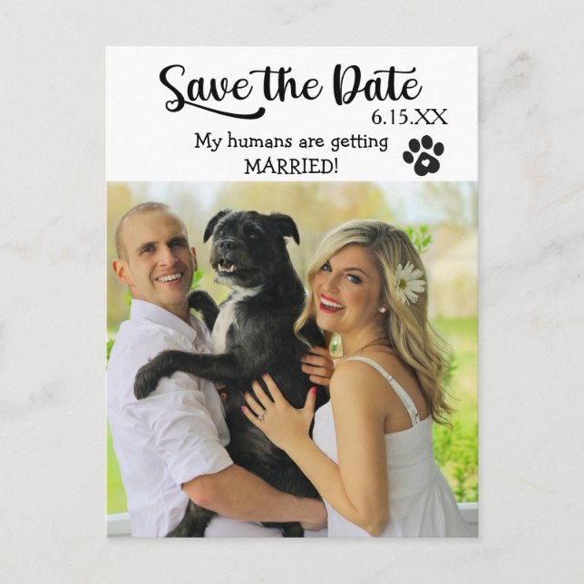 Funny Rettete das Hochzeitdatum mit Hund Postkarte (Vorderseite)