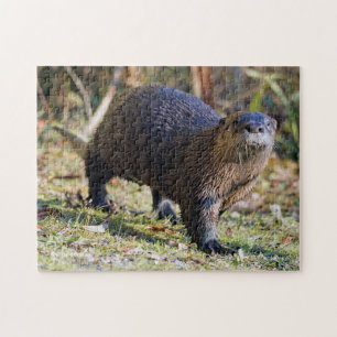 Funny River Otter aus Water Stanley Park Lagoon Puzzle