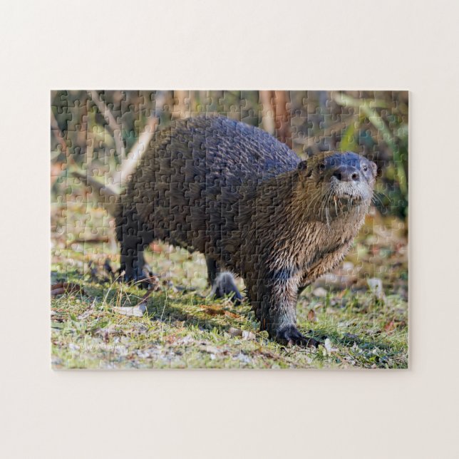 Funny River Otter aus Water Stanley Park Lagoon Puzzle (Horizontal)