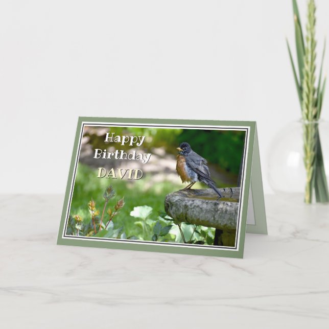 Funny Robin Geburtstagskarte Feiertagskarte (Vorderseite)