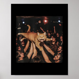 Funny Rock Show Cat Meme Niedlich Tabby Kitten Cro Poster