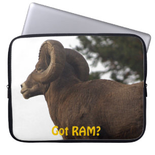 Funny Rocky Mountain Wild Big Horn Sheep Laptopschutzhülle