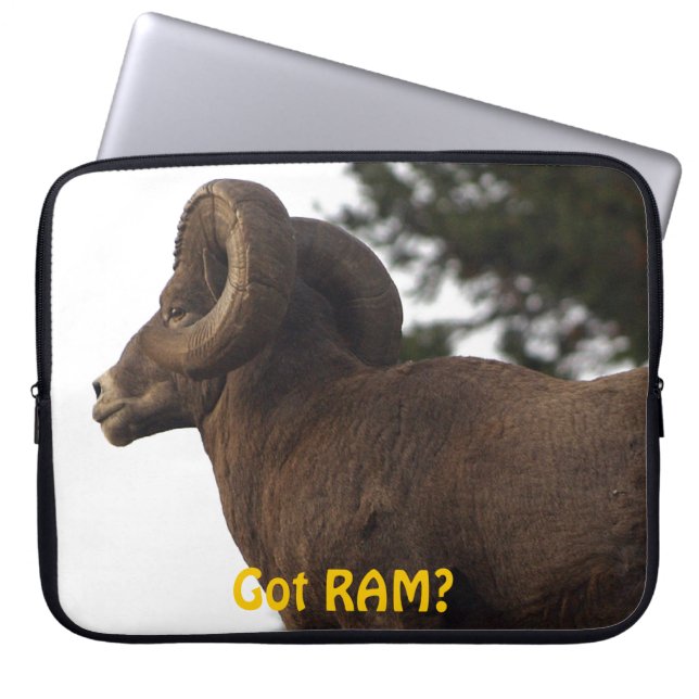 Funny Rocky Mountain Wild Big Horn Sheep Laptopschutzhülle (Vorderseite)