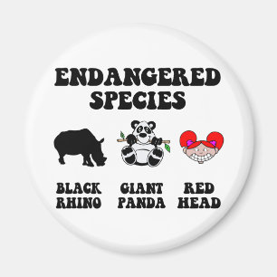 Funny Rothead Magnet