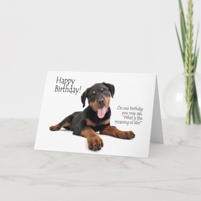 Funny Rottie Birthday Card Karte (Vorderseite)