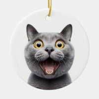 FUNNY RUSSIAN BLUE GRAY CAT ÜBERRASCHTE KATZE