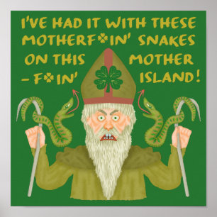 Funny Saint Patrick's Day Snakes Joke Green Irish Poster