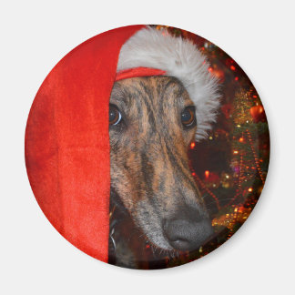 Funny Santa Dog - Lurcher Greyhound Weihnachtshut Magnet