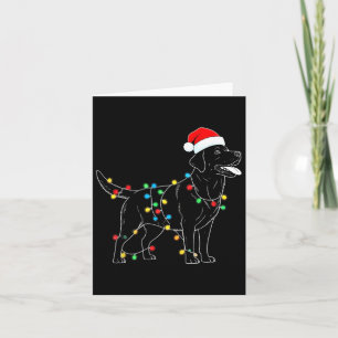 Funny Santa Labrador Retriever Christmas Lights Do Karte