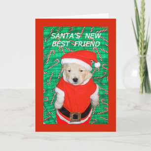 Funny Santa Puppy Christmas Grußkarte Feiertagskarte