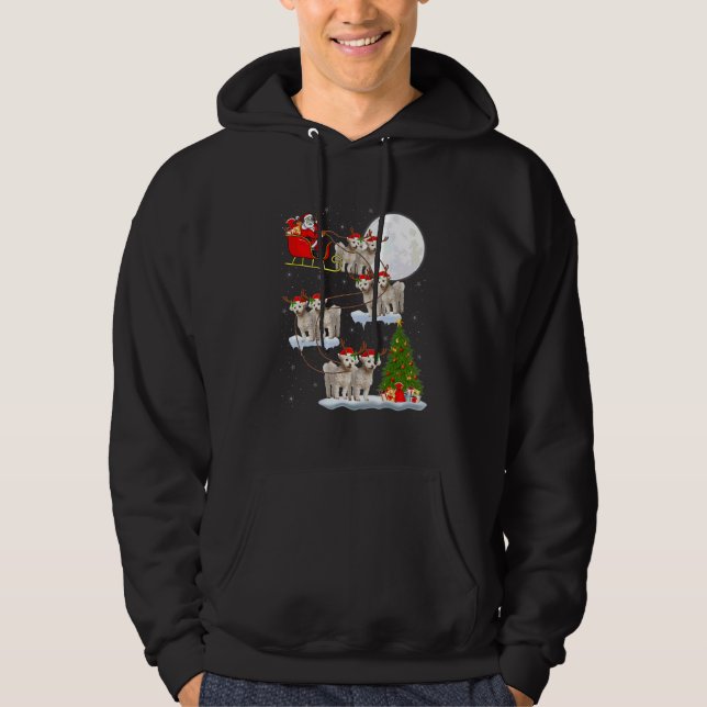 Funny Santa Riding Bichon Frise Moon Christmas Lig Hoodie (Vorderseite)