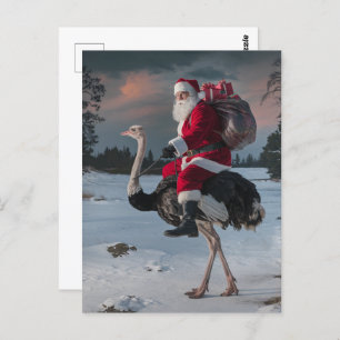 Funny Santa und Ostrich Postkarte