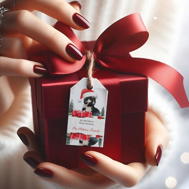 Funny Sarcastic Cat Santas Hat Weihnachtsgeschenk  Geschenkanhänger (Von Creator hochgeladen)