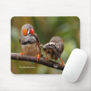 Funny Saucy Cheeky Pair von Zebra Finches Songbird Mousepad