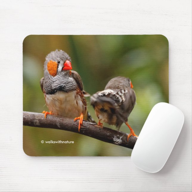Funny Saucy Cheeky Pair von Zebra Finches Songbird Mousepad (Mit Mouse)