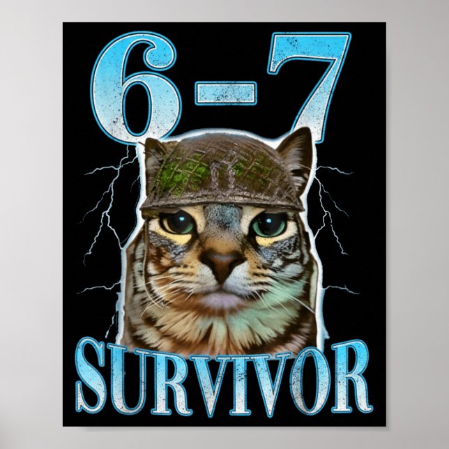 Funny Saying 67 Cats Tummy Ache Survivor Cat Meme  Poster (Vorne)