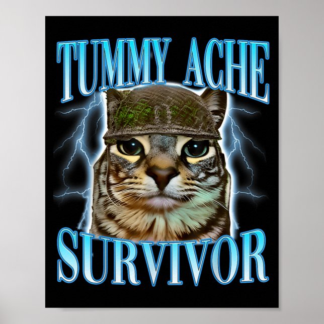 Funny Saying Cats Tummy Ache Survivor Cat Meme Hum Poster (Vorne)