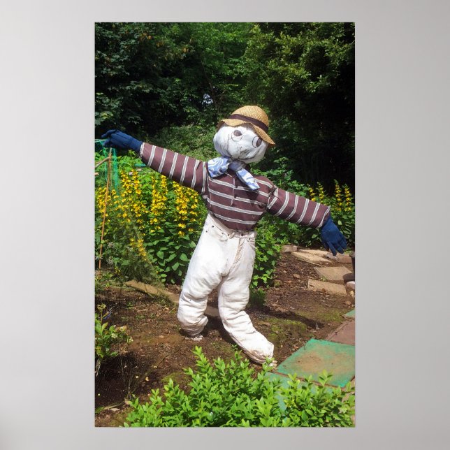 Funny scarecrow poster (Vorne)