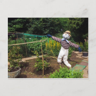 Funny scarecrow postkarte