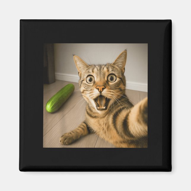 Funny schockiert Katze Selfie mit Cucumber Meme De Magnet (Vorne)