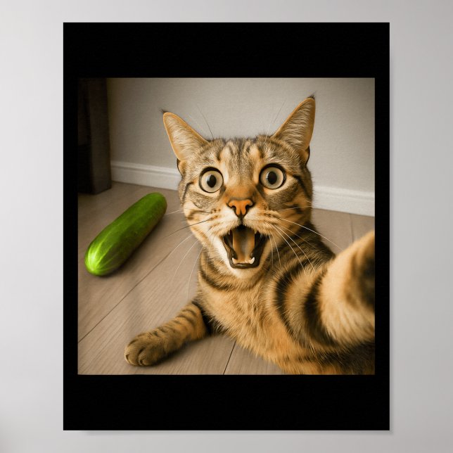 Funny schockiert Katze Selfie mit Cucumber Meme De Poster (Vorne)