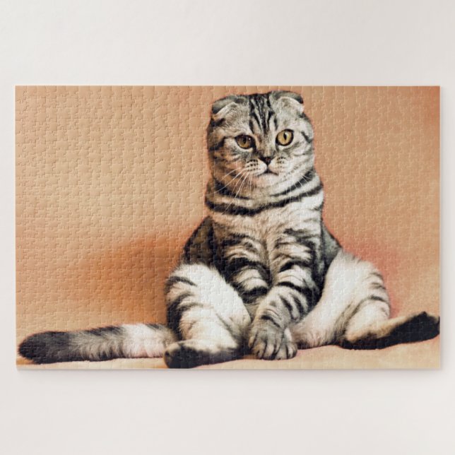 Funny Scottish Fold Cat Foto Puzzle (Horizontal)