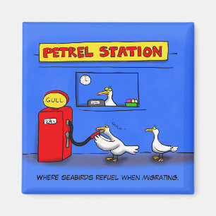 Funny Sea Gulls Cartoon Spaß Magnet