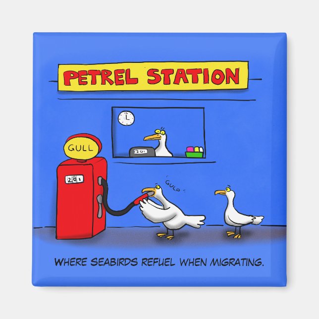 Funny Sea Gulls Cartoon Spaß Magnet (Vorne)