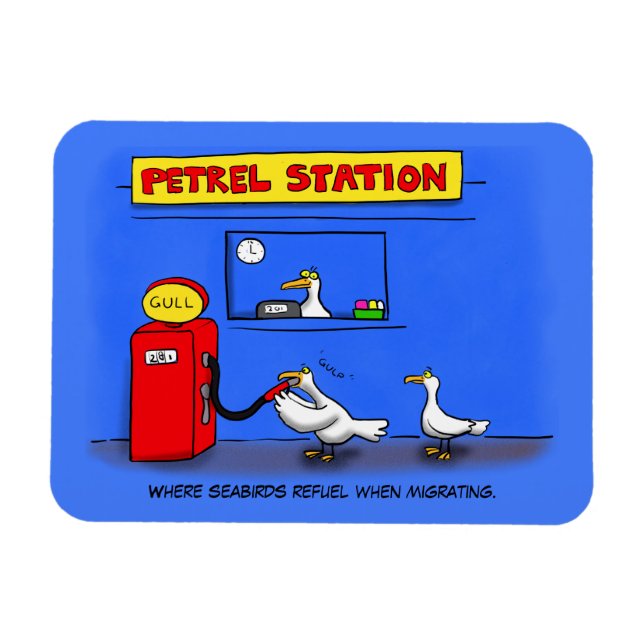 Funny Sea Gulls Cartoon Spaß Magnet (Horizontal)