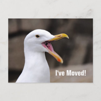 FUNNY Seagull Ankündigungspostkarte