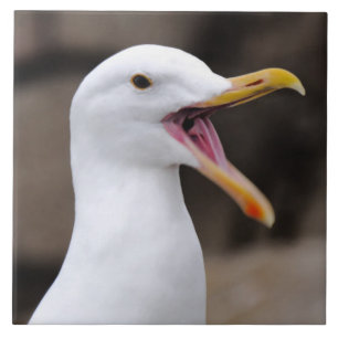 FUNNY Seagull Fliese